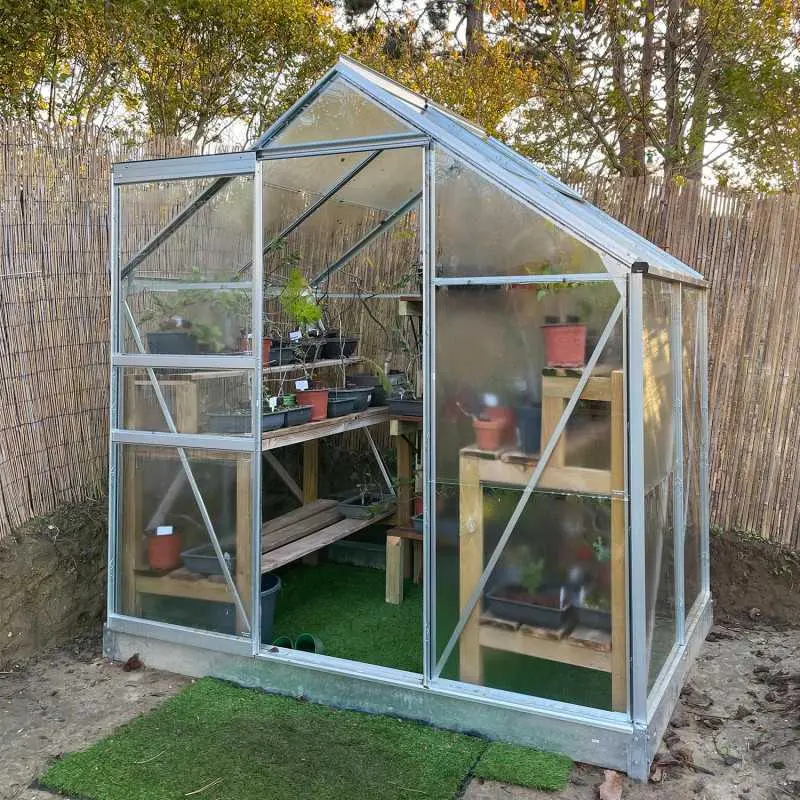 Serre de jardin LAMS Allium 2,50 m², coloris aluminium naturel, verre trempé 3 mm