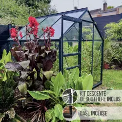 Serre de jardin LAMS Allium 3,70 m², coloris gris anthracite, verre trempé 3 mm, base et descentes de gouttière incluses