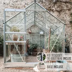 Serre de jardin LAMS Allium 4,90 m², coloris aluminium naturel, verre trempé 3 mm, base et descentes de gouttière incluses