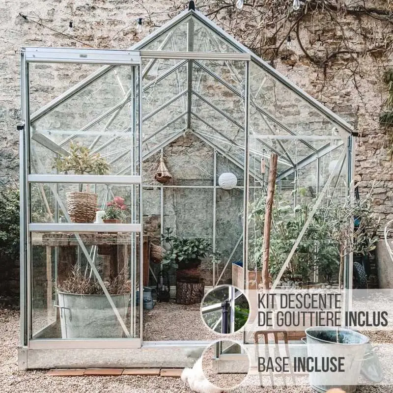 Serre de jardin LAMS Allium 4,90 m², coloris aluminium naturel, verre trempé 3 mm, base et descentes de gouttière incluses