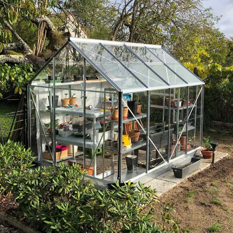 Serre de jardin LAMS Allium 4,90 m², coloris aluminium naturel, verre trempé 3 mm