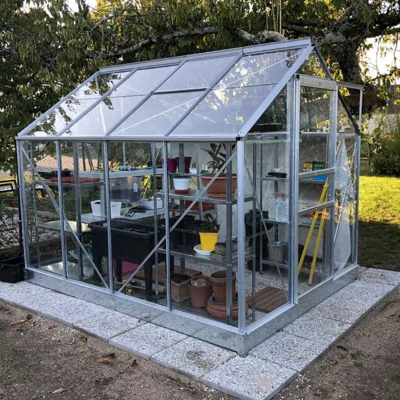 Serre de jardin LAMS Allium 4,90 m², coloris aluminium naturel, verre trempé 3 mm