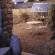 Serre de jardin LAMS Allium 4,90 m², coloris aluminium naturel, verre trempé 3 mm