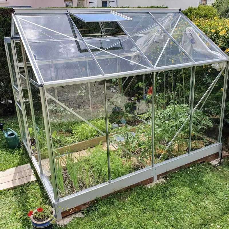 Serre de jardin LAMS Allium 4,90 m², coloris aluminium naturel, verre trempé 3 mm