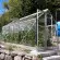 Serre de jardin LAMS Allium 7,30 m², coloris aluminium naturel, verre trempé 3 mm