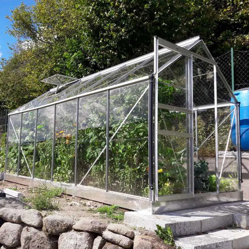 Serre de jardin LAMS Allium 7,30 m², coloris aluminium naturel, verre trempé 3 mm