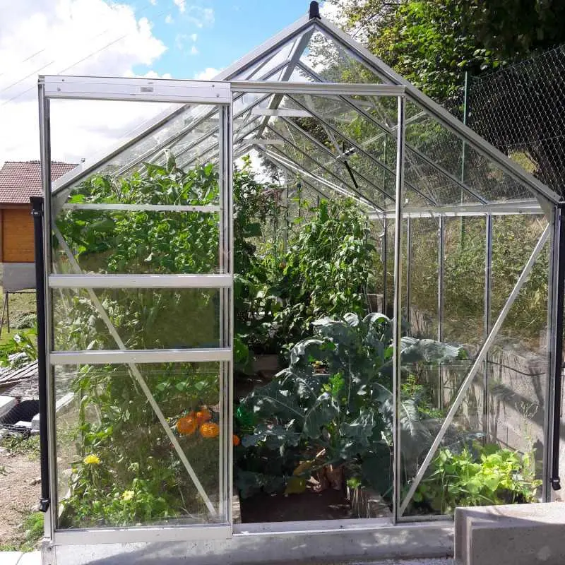 Serre de jardin LAMS Allium 7,30 m², coloris aluminium naturel, verre trempé 3 mm