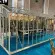 Serre reconditionnée AUTHENTIQUE largeur 2,75 x 6,05 m