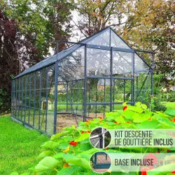 Serre de jardin LAMS Laurus 12,90 m², coloris vert, verre trempé 3 mm, base et descentes de gouttière incluses