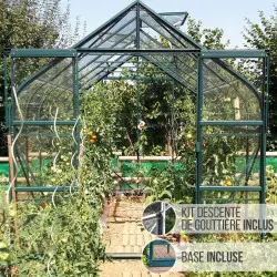 Serre de jardin LAMS Aloé 8,10 m², coloris vert, verre trempé 3 mm, base et descente de gouttière incluses