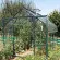 Serre de jardin LAMS Aloé 8,10 m², coloris vert, verre trempé 3 mm