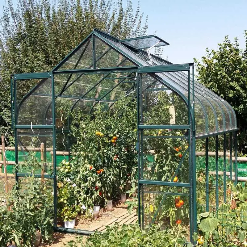 Serre de jardin LAMS Aloé 8,10 m², coloris vert, verre trempé 3 mm