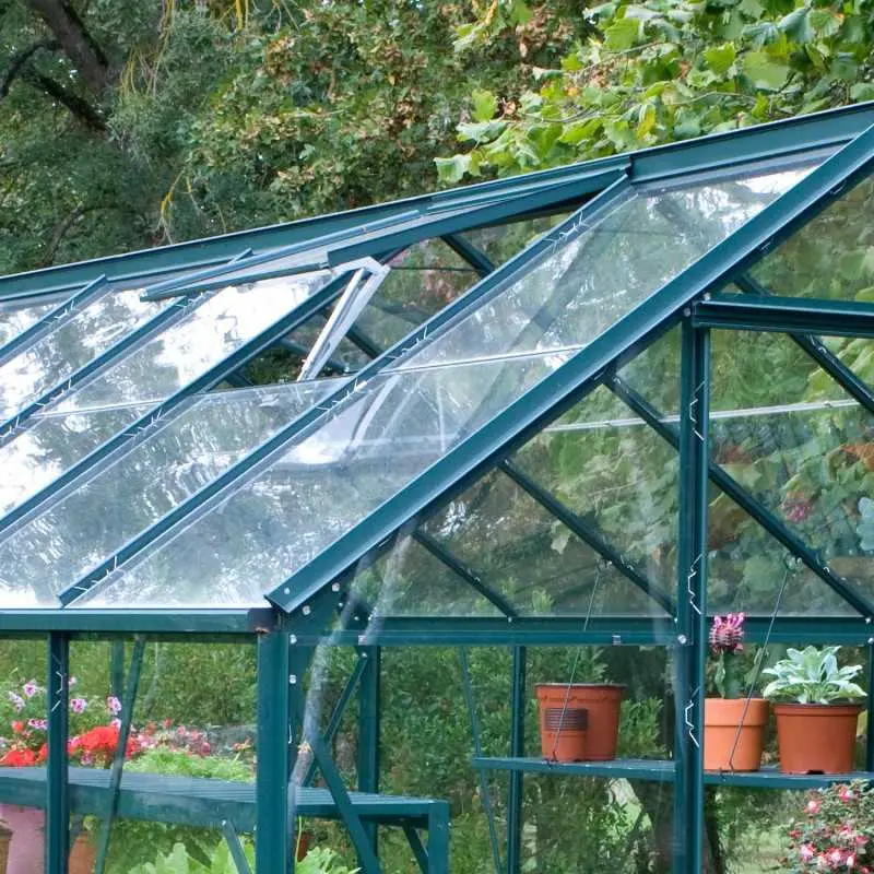 Serre de jardin LAMS Aloé 9,70 m², coloris vert, verre trempé 3 mm, lucarne de toiture