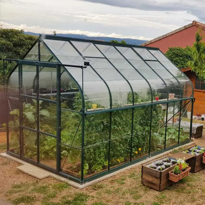 Serre de jardin LAMS Aloé 9,70 m², coloris vert, verre trempé 3 mm