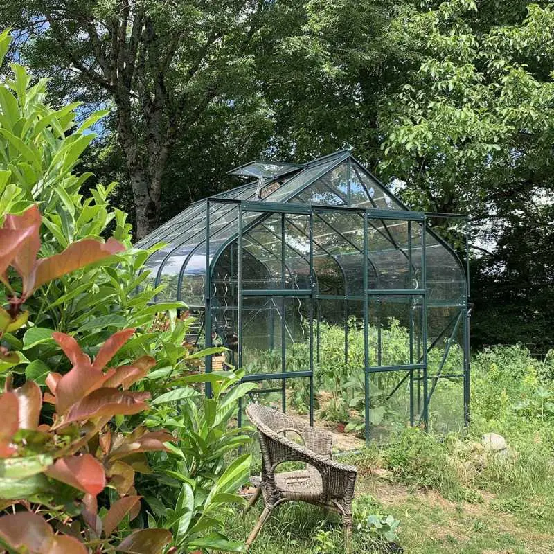 Serre de jardin LAMS Aloé 9,70 m², coloris vert, verre trempé 3 mm