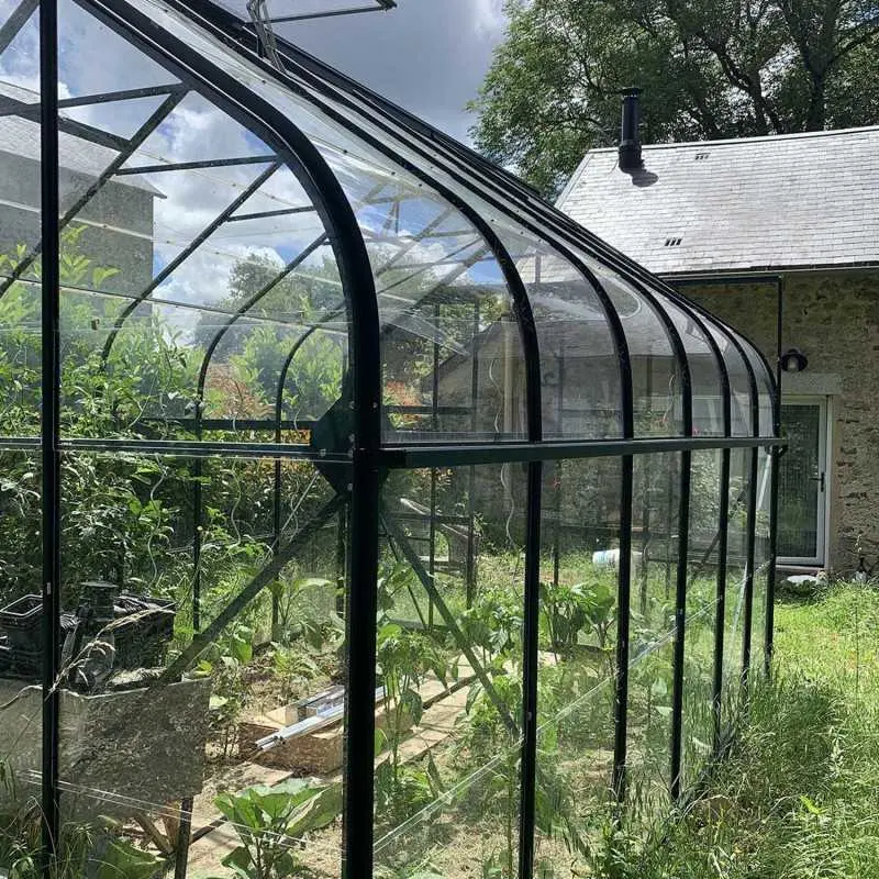 Serre de jardin LAMS Aloé 9,70 m², coloris vert, verre trempé 3 mm