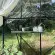 Serre de jardin LAMS Aloé 9,70 m², coloris vert, verre trempé 3 mm
