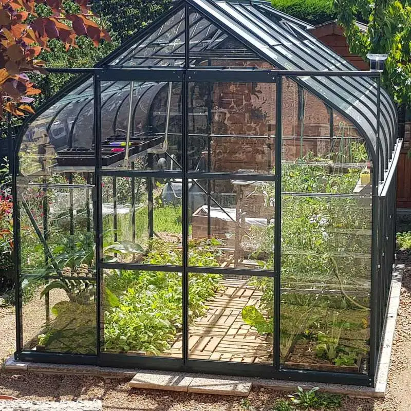 Serre de jardin LAMS Aloé 9,70 m², coloris vert, verre trempé 3 mm