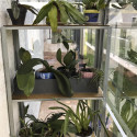 Serre adossée MÉLISSA 1,30 m²