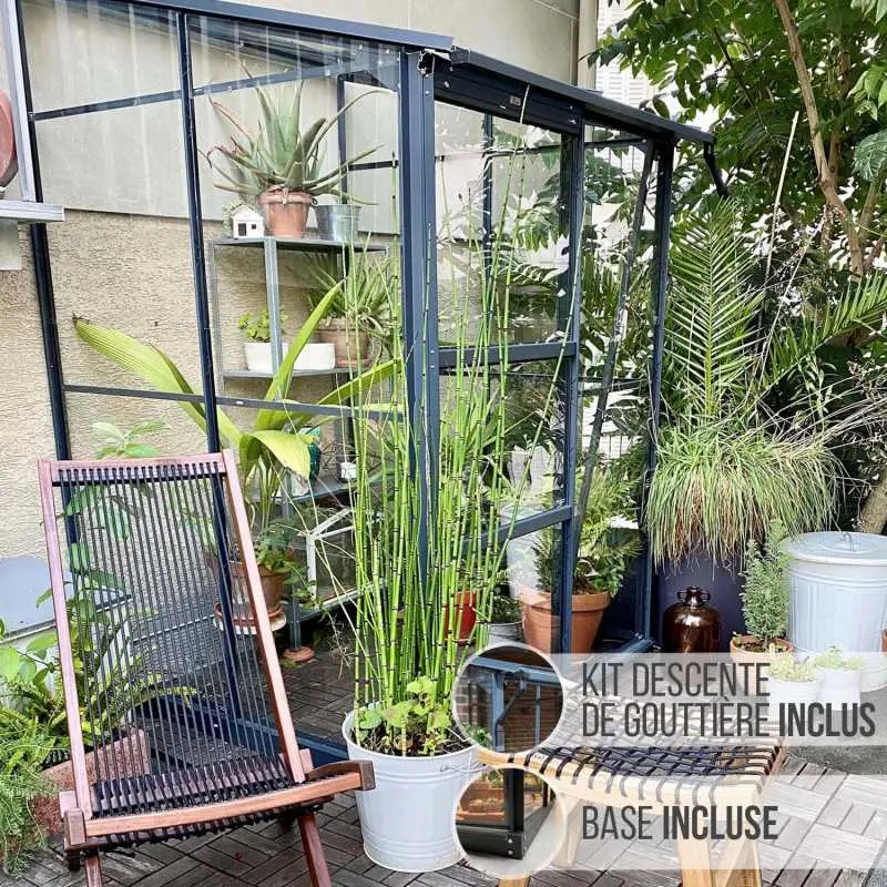 Serre de jardin LAMS Mélissa 1,70 m², coloris gris anthracite, verre trempé 3 mm, base et descente de gouttière incluses