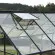 Serre de jardin LAMS Mélissa 1,70 m², coloris gris anthracite, verre trempé 3 mm, lucarne de toiture