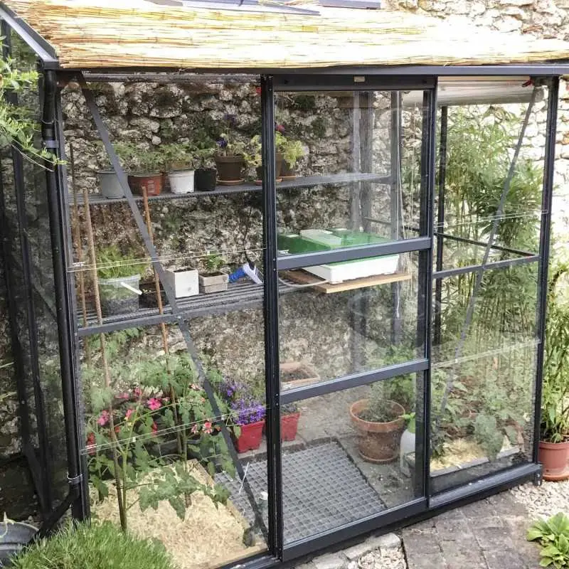 Serre de jardin LAMS Mélissa 2,50 m², coloris gris anthracite, verre trempé 3 mm