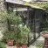 Serre de jardin LAMS Mélissa 2,50 m², coloris gris anthracite, verre trempé 3 mm