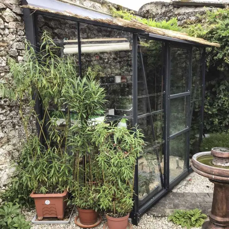 Serre de jardin LAMS Mélissa 2,50 m², coloris gris anthracite, verre trempé 3 mm