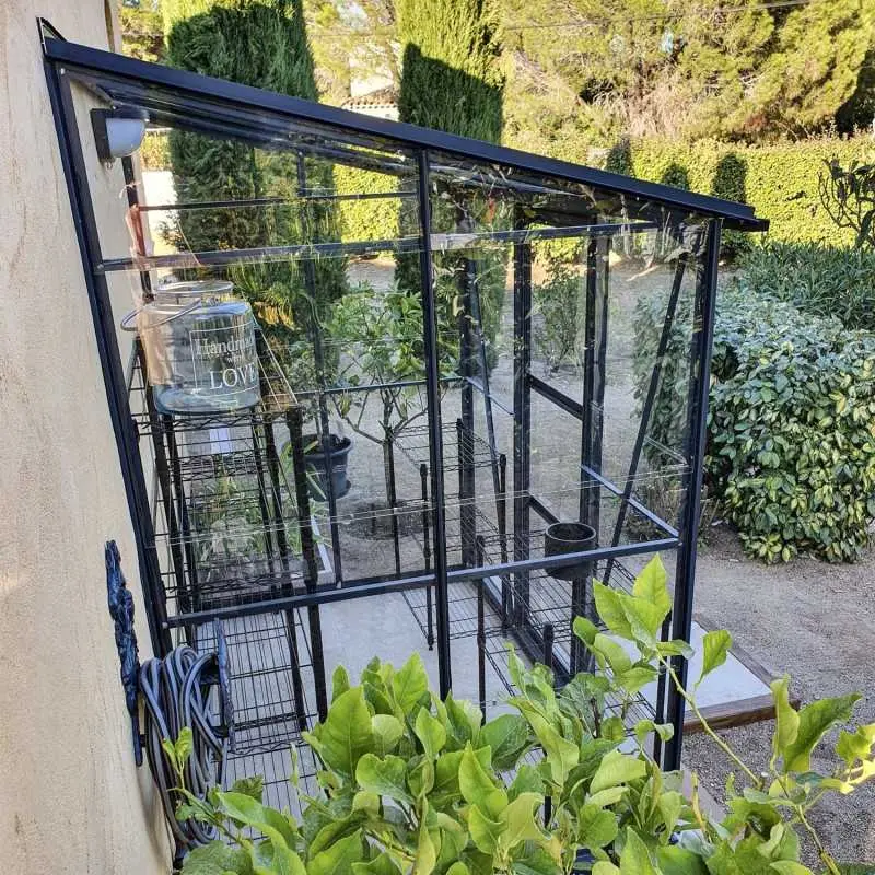 Serre de jardin LAMS Mélissa 2,50 m², coloris gris anthracite, verre trempé 3 mm