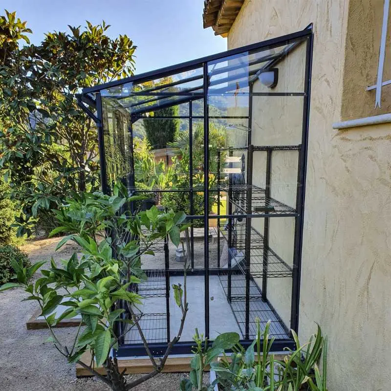 Serre de jardin LAMS Mélissa 2,50 m², coloris gris anthracite, verre trempé 3 mm