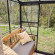 Serre adossée MÉLISSA 3,30 m²