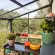 Serre de jardin LAMS Mélissa 3,30 m², coloris gris anthracite, verre trempé 3 mm