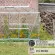 Serre de jardin LAMS Mélissa 4,90 m², coloris aluminium naturel, verre trempé 3 mm, base et descente de gouttière incluses