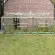 Serre de jardin LAMS Mélissa 4,90 m², coloris aluminium naturel, verre trempé 3 mm