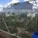 Serre de jardin LAMS Laurus 8,10 m², coloris aluminium naturel, verre trempé 3 mm