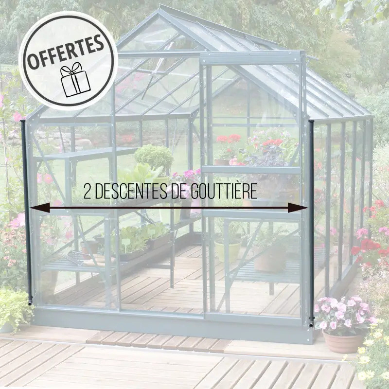 Serre de jardin LAMS Laurus 4,90 m², descentes de gouttière incluses