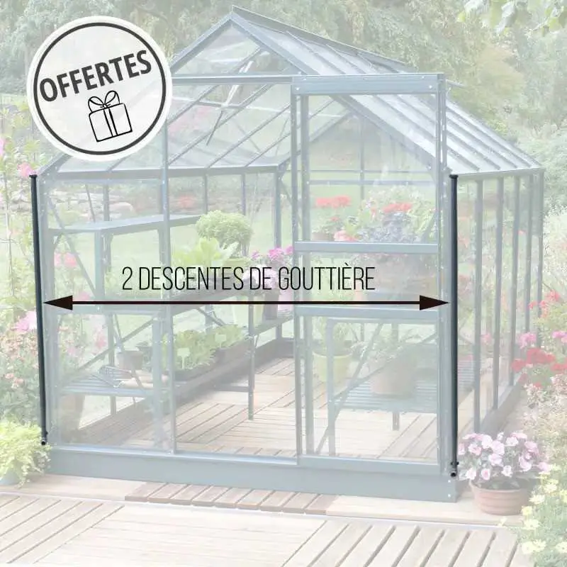 Serre de jardin LAMS Laurus 4,90 m², descentes de gouttière incluses