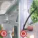 Serre de jardin LAMS Laurus 4,90 m², structure aluminium, joint de vitrage