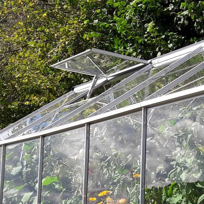 Serre de jardin LAMS Laurus 4,90 m², coloris aluminium naturel, verre trempé 3 mm, lucarne de toiture