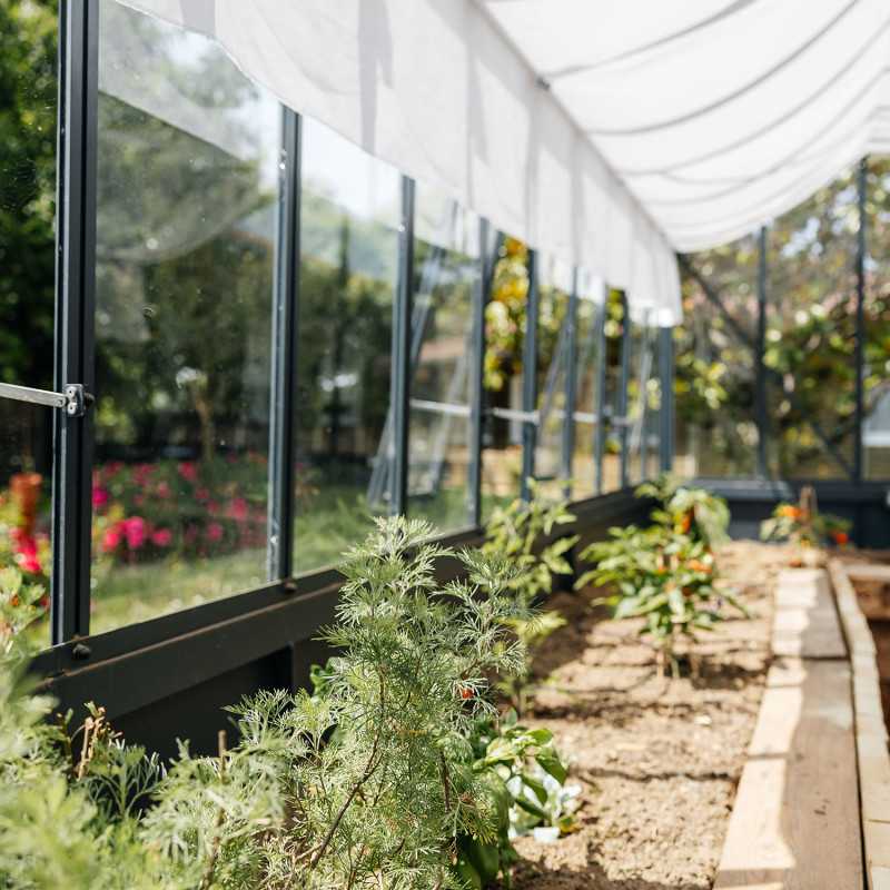 Serre CLASSIQUE largeur 2,75 m sur embase aluminium