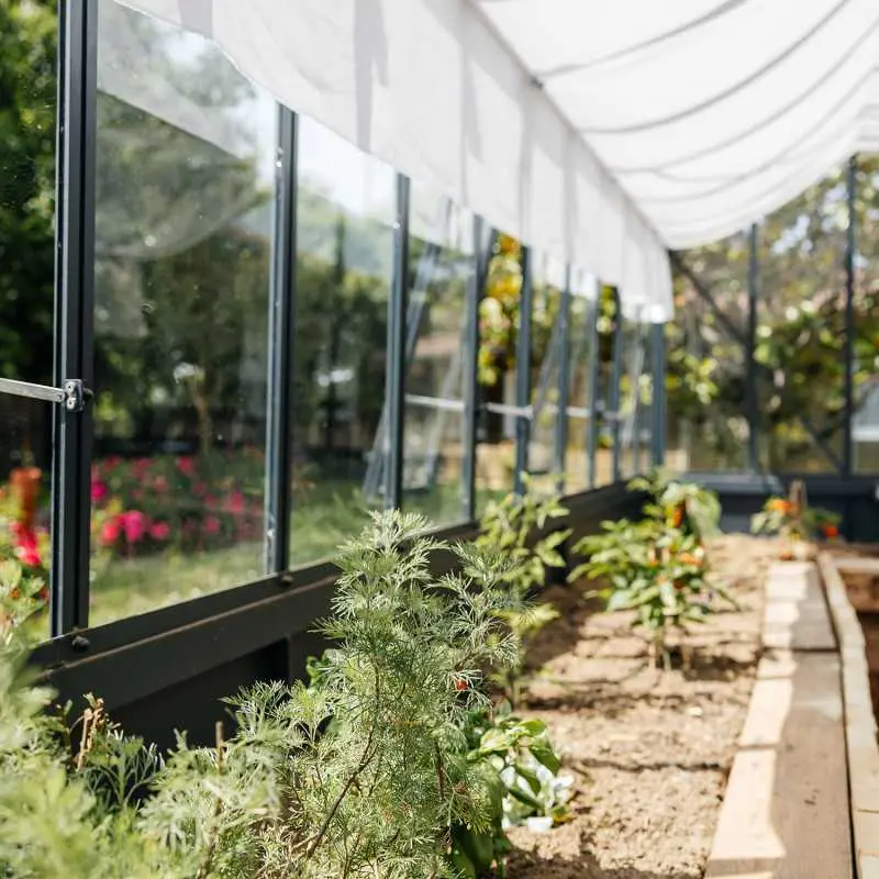 Serre CLASSIQUE largeur 2,75 m sur embase aluminium