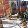 Serre de jardin LAMS Laurus 4,90 m², coloris aluminium naturel, verre trempé 3 mm