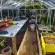 Serre de jardin LAMS Laurus 9,70 m², coloris aluminium naturel, verre trempé 3 mm