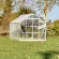Serre de jardin LAMS Laurus 14,40 m², coloris aluminium naturel, verre trempé 3 mm