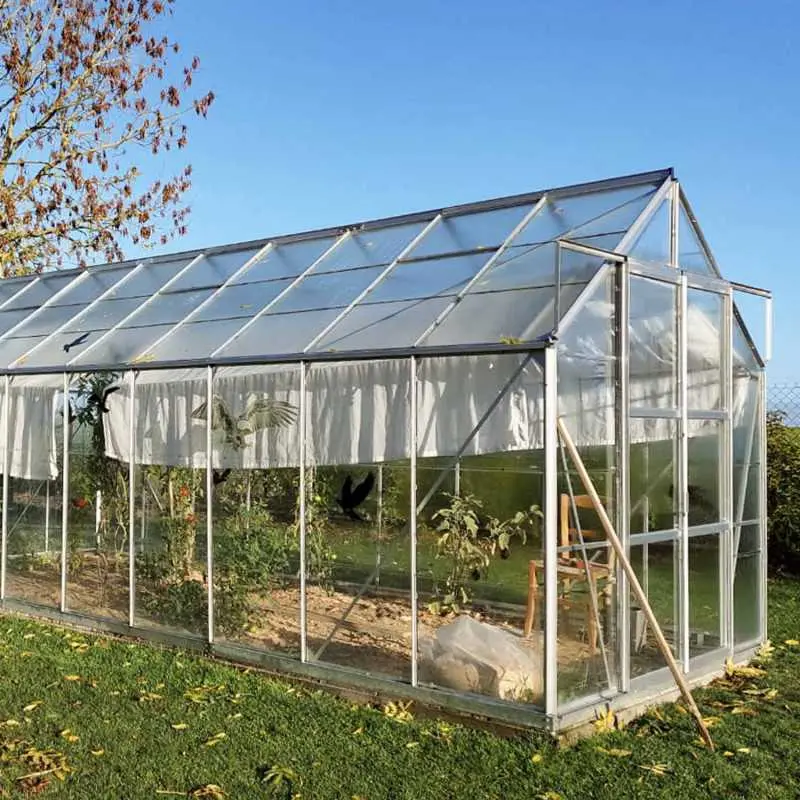 Serre de jardin LAMS Laurus 14,40 m², coloris aluminium naturel, verre trempé 3 mm