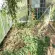 Serre de jardin LAMS Laurus 14,40 m², coloris aluminium naturel, verre trempé 3 mm