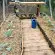 Serre de jardin LAMS Laurus 9,70 m², coloris aluminium naturel, verre trempé 3 mm