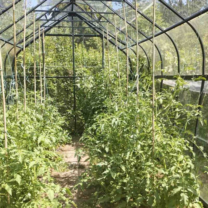 Serre ALOÉ 12,90 m²