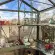 Serre LUXIA largeur 1,60 m