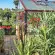 Serre LUXIA sur muret largeur 3,09 m